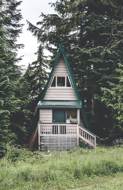 An A-frame cabin is nestled among tall pine trees, with a small porch and stairs leading up to the entrance, surrounded by lush greenery.