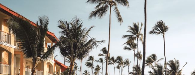 The image shows a serene resort scene with palm trees, a pool, sun loungers, and a building with balconies, set against a clear sky.
