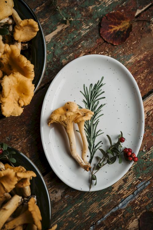 A white plate with mushrooms, a sprig of rosemary, and a small cluster of red berries, placed on a rustic wooden surface.