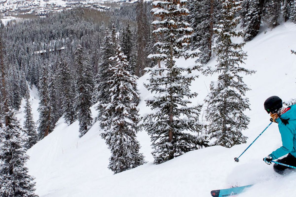 A skier in a blue jacket descends a snowy slope surrounded by pine trees with a scenic view of a forested valley in the background.