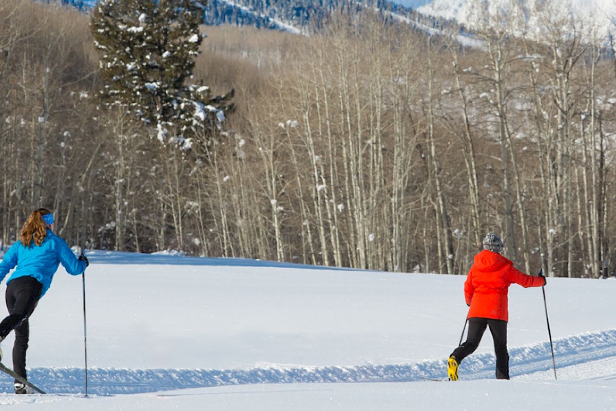 Two people are cross-country skiing on a snowy trail with a backdrop of leafless trees and snow-covered mountains under a clear sky, ending the sentence.