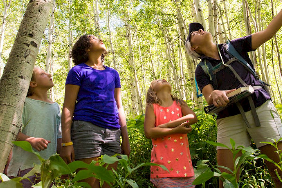 Several people are looking up while standing among tall trees in a forest; one person is pointing upwards.
