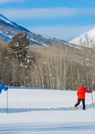 Two people cross-country skiing in a snow-covered landscape with bare trees and mountains in the background, under a clear, blue sky.