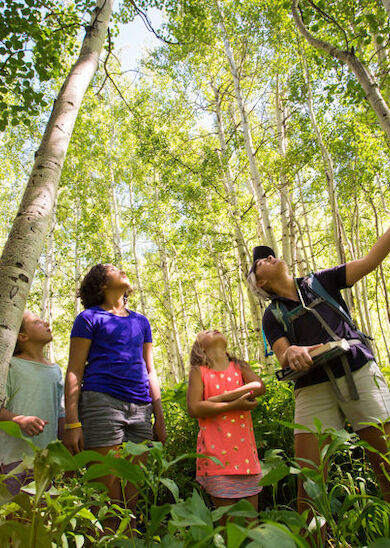 A group of people stands in a forested area. They are looking up at the trees, with one person pointing at something among the trees.