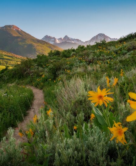 A scenic landscape with a dirt path, wildflowers in the foreground, lush green hills, and mountains in the background under a clear blue sky.