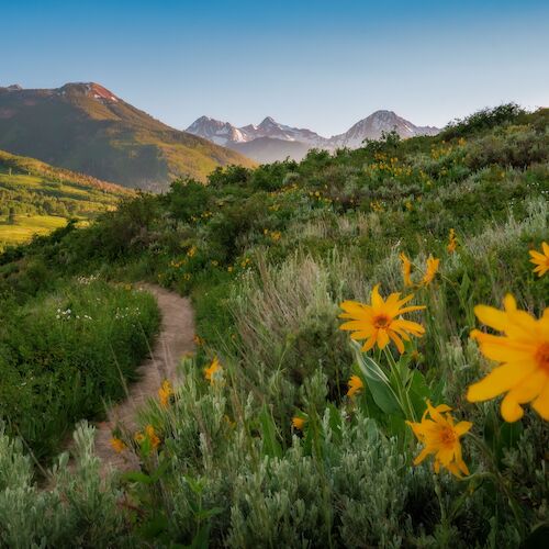 A scenic landscape with a dirt path, wildflowers in the foreground, lush green hills, and mountains in the background under a clear blue sky.