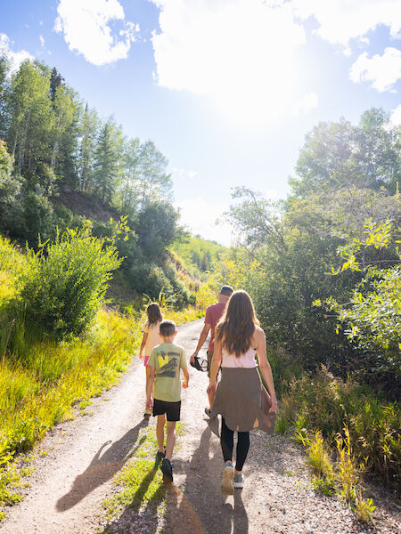 A group of people hiking on a sunny dirt trail through a green, forested area, with tall trees and bright sky ahead, enjoying nature.