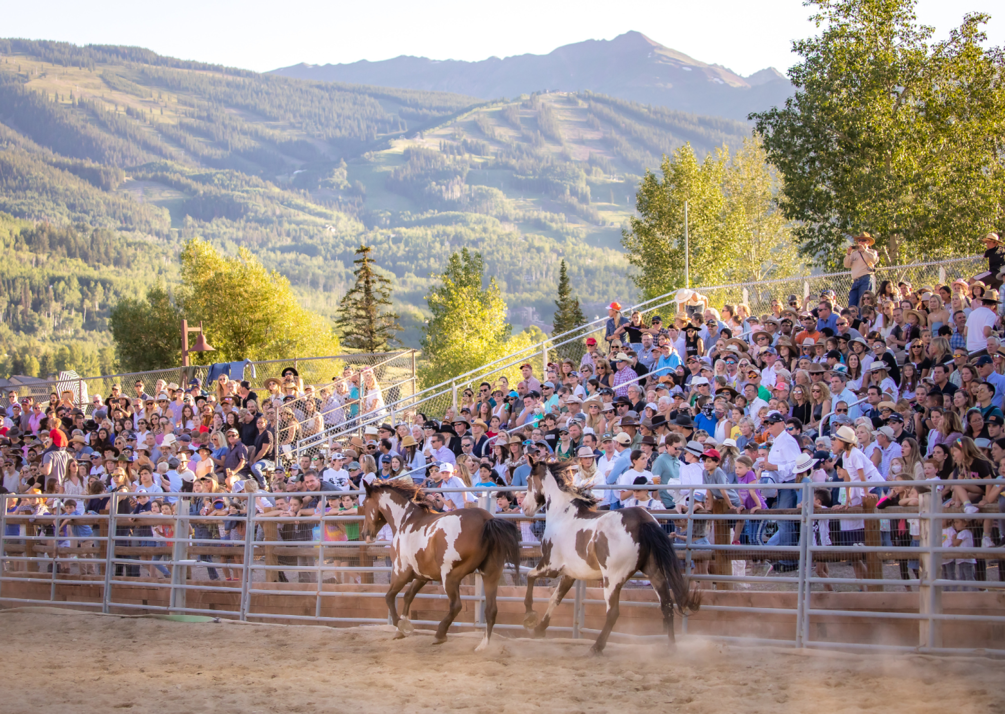 A large crowd watches horses gallop in a fenced area, with a mountainous landscape in the background.