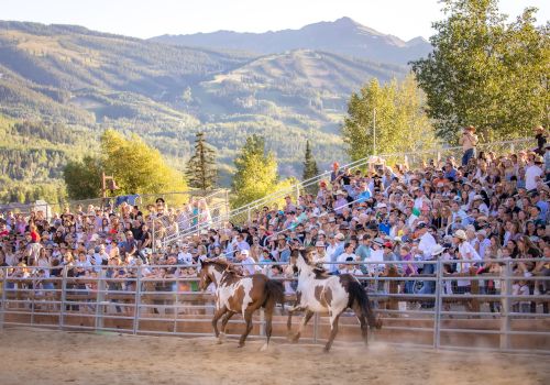 A crowd at an outdoor event watches horses running in an arena, set against a backdrop of mountains and trees, under a clear sky.