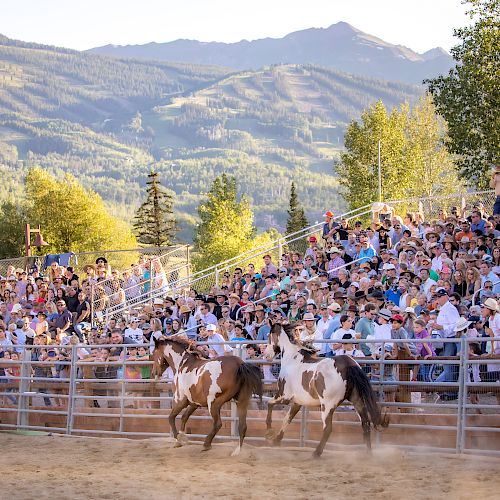 A crowd at an outdoor event watches horses running in an arena, set against a backdrop of mountains and trees, under a clear sky.