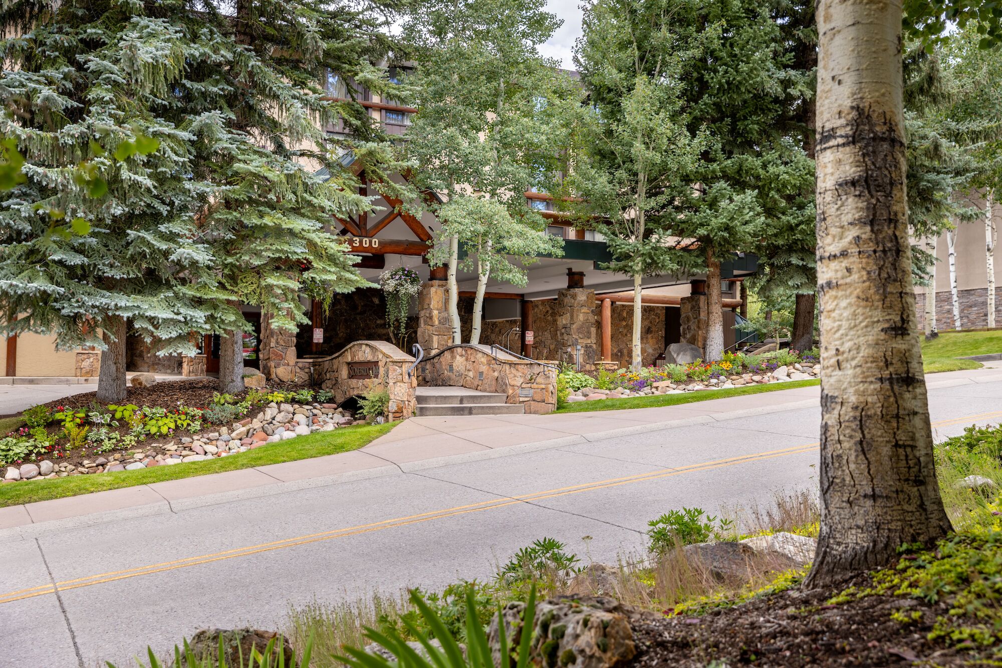 A paved road flanked by green trees and shrubs leads to a building entrance with stone accents and landscaping.