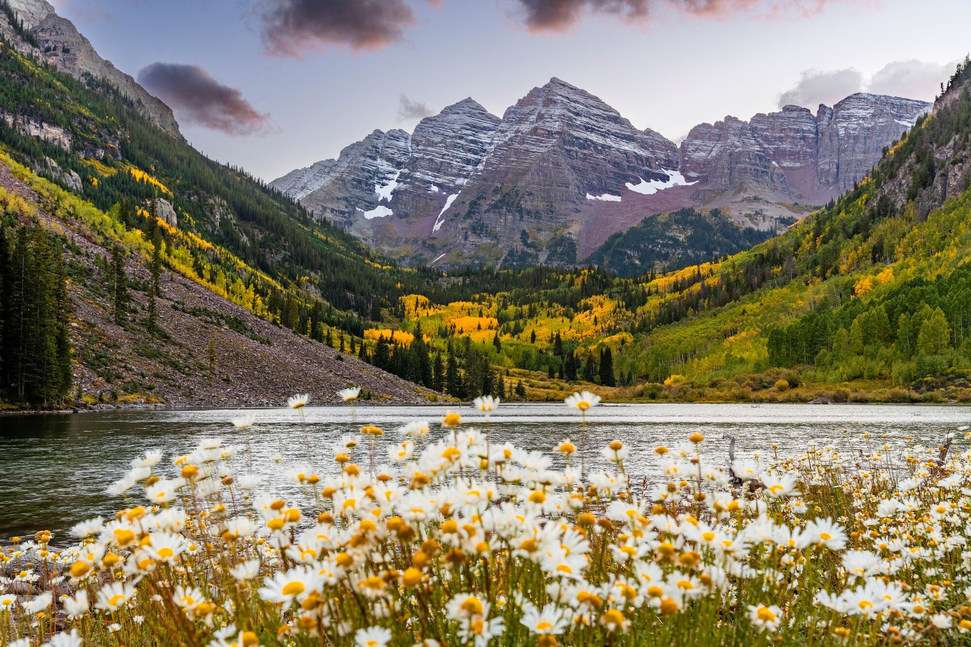 A scenic landscape with snowy mountains, vibrant autumn foliage, a serene lake, and wildflowers in the foreground.