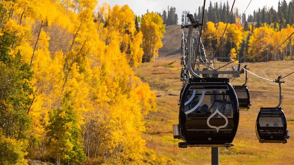 The image features a gondola lift ascending through vibrant yellow trees against a backdrop of beautiful autumn scenery.